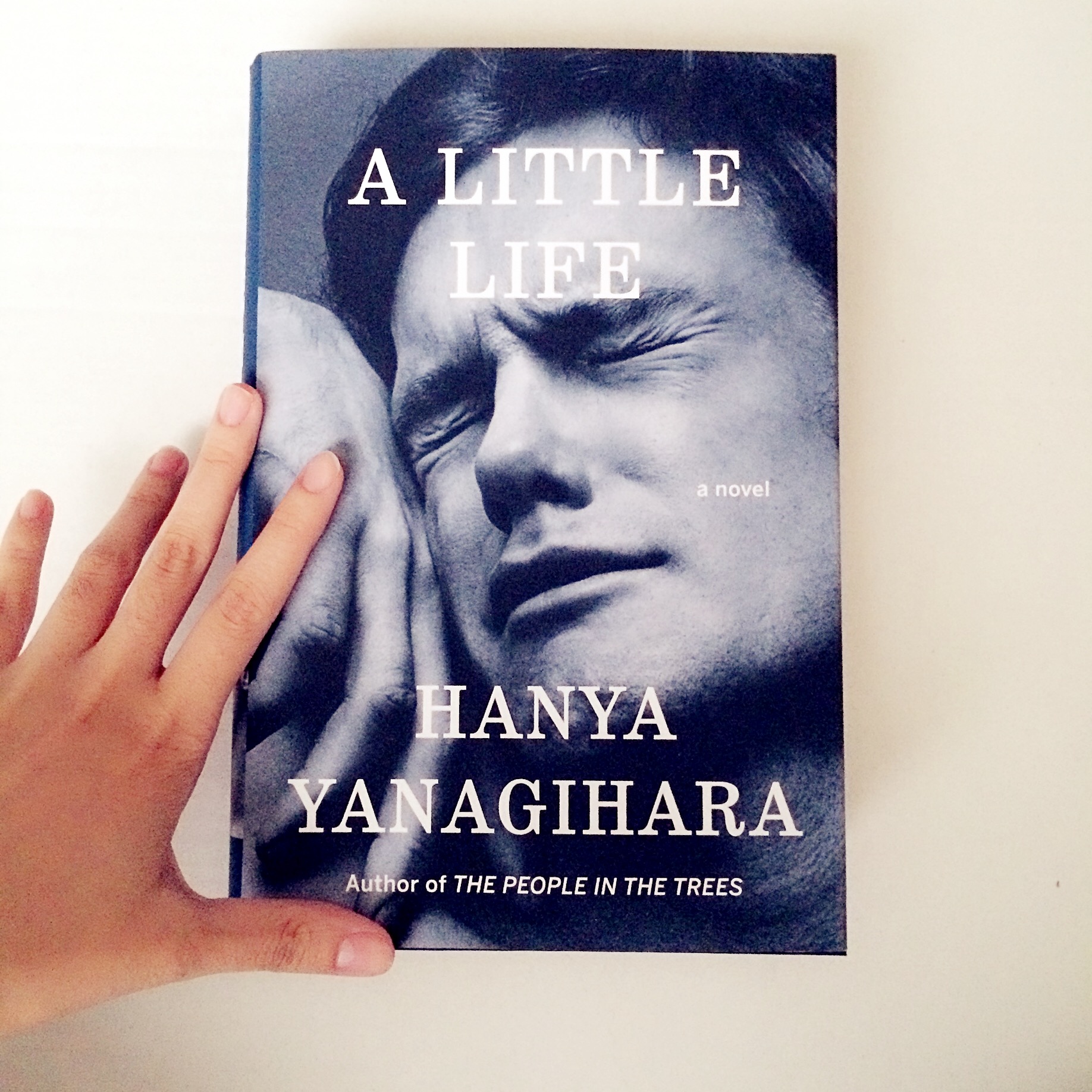 A little life книга. Маленькая жизнь Ханья Янагихара. Маленькая жизнь Ханья Янагихара герои книги. Маленькая жизнь книга арты.